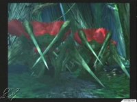 Click Here To Enlarge!